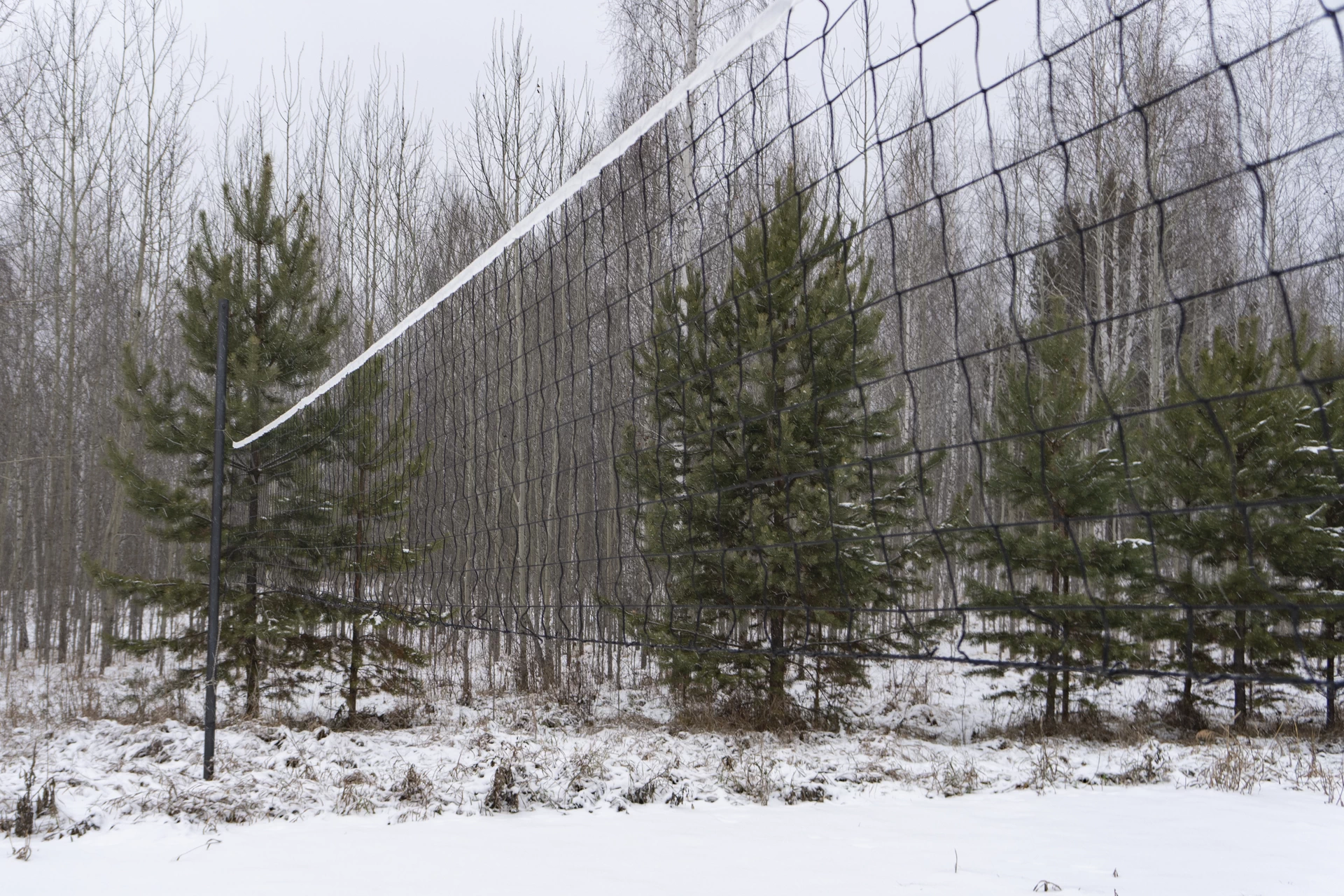 Площадка адаптируется под сезон: здесь можно как сыграть в волейбол или вышибалы, так и в бадминтон со своими принадлежностями.